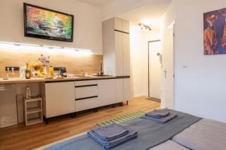 Luxury Studio in Bratislava Old Town Center - 5