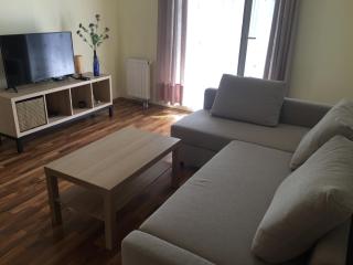 Traugutta 142 Apartment - Balcony & Lift - Breslavia - 4