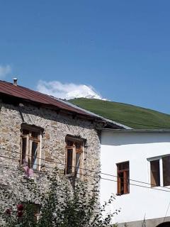 Guest House Zhora Kaldani Adishi - Adishi - 3