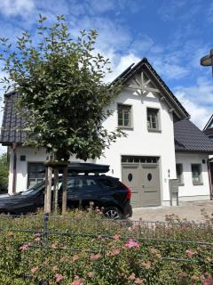 Darssliebe - 9