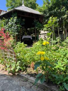 Vila Venera - Velingrad - 7