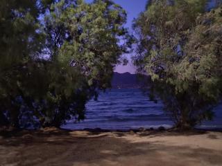 AMMOS - Salamina - 7