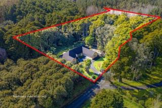 NZ County Holiday Home - Kamo - 8
