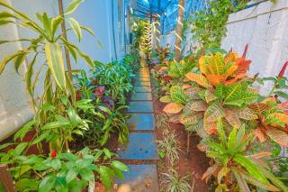 CASA SUNSHINE -Luxurious Portuguese Villa in Anjuna - Anjuna - 7