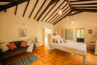 CASA SUNSHINE -Luxurious Portuguese Villa in Anjuna - Anjuna - 5