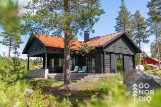 The Lazy Moose - Tällberg - 0