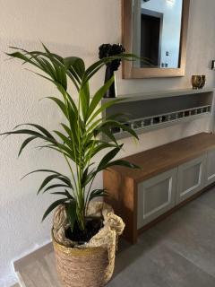 The MITS luxury apartments - Skiathos - 8