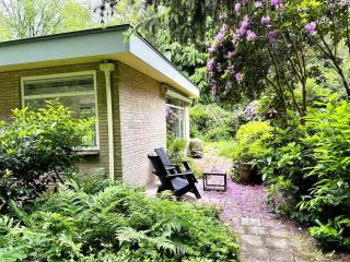 Cozy forest house ideal for relaxing - 6