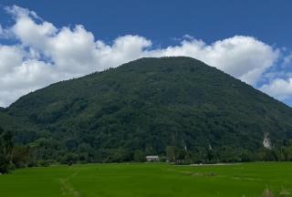 Pulai Greens Homestay - Baling - 9