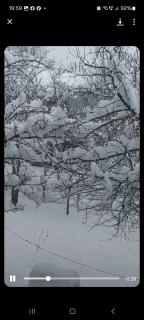 Ojakh - Dilijan - 2