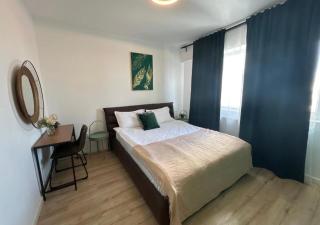 Alexandru Apartment - 1