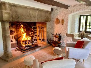 Superbe maison avec grand parc, rivière et jacuzzi - Laguiole - 4