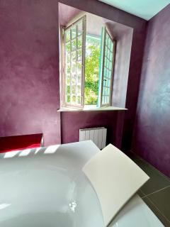 Superbe maison avec grand parc, rivière et jacuzzi - Laguiole - 1