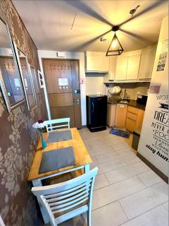 Homey Studio at Two Palm Tree Across NAIA T3 Airport - Manila - 2