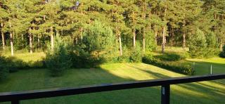 Villa Pine Forest by the Baltic Sea - 7