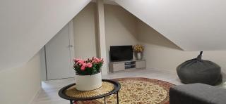 Villa Pine Forest by the Baltic Sea - Palanga - 4
