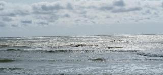 Villa Pine Forest by the Baltic Sea - Palanga - 1