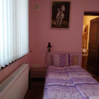 Tainov House - Samokov - 4
