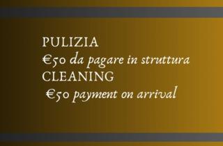 Spacious Vintage Style Apartment - San Giovanni Rotondo - 9