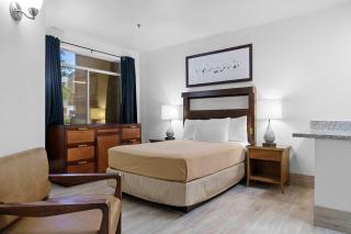 Chandler 1bd w 2 beds upgraded - 1