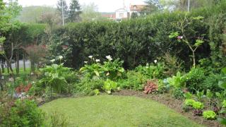 Apartamento con Jardín - 3