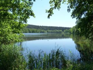 Flat in Langewiesen near Ski Trails, cleaning included - Langewiesen - 9