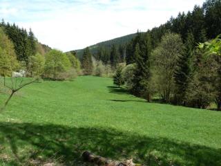 Flat in Langewiesen near Ski Trails, cleaning included - Langewiesen - 8