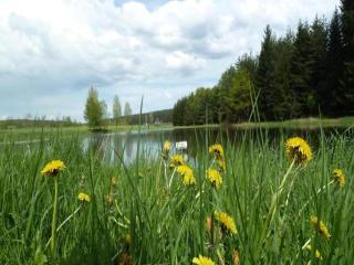Flat in Langewiesen near Ski Trails, cleaning included - Langewiesen - 6