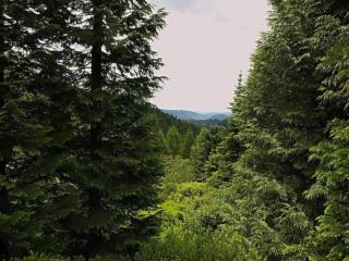 Flat in Langewiesen near Ski Trails, cleaning included - Langewiesen - 2