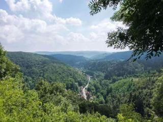 Apartment in Thale by Fishing River - Altenbrak - 9