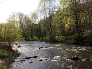 Apartment in Thale by Fishing River - Altenbrak - 8