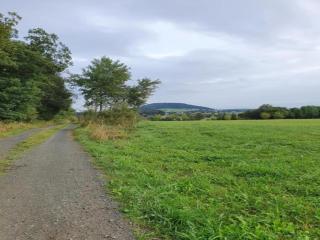 Holiday Home in Bärenstein near Green Hills, cleaning included - Bärenstein - 7