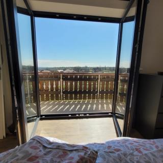 VineSinn - 4