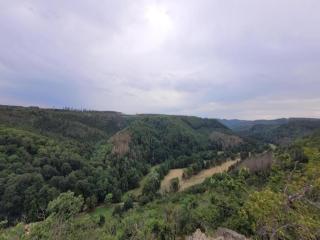 Apartment in Meisdorf near Ski Trails, cleaning included - Meisdorf - 6