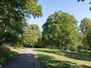 Apartment in Meisdorf near Ski Trails, cleaning included - Meisdorf - 4