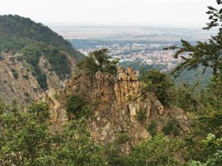 Apartment in Meisdorf near Ski Trails, cleaning included - Meisdorf - 3