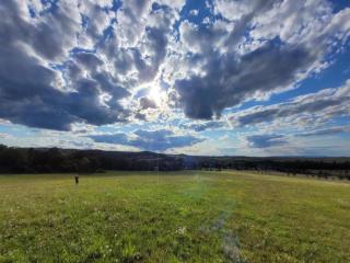 Apartment in Meisdorf near Ski Trails, cleaning included - Meisdorf - 2