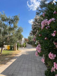 Villaggio Almar - Vieste - 9