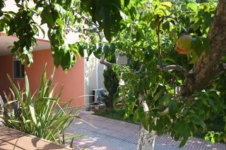 Garden Bliss Alexandroupolis - Alexandroupoli - 4