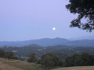 Appartement en campagne - 5