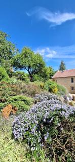 La Cauvignyere - - 2