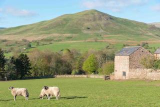 Shepherds View at Dufton Barn Holidays - Dufton - 5