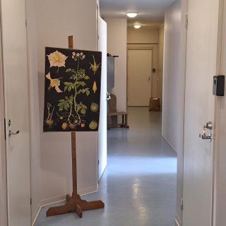 Koulumestarin majoitus - 3