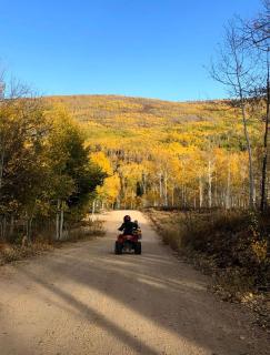 6 Bedroom Cabin by Xquisite Rentals - Heber City - 5