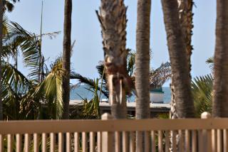 Oceanside Beach Condos - 5