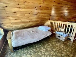 Eagles Nest Cabin with a private hot tub - Bryant - 3