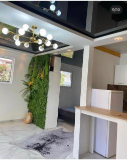 Apartmani Vila S - Donji Štoj - 5