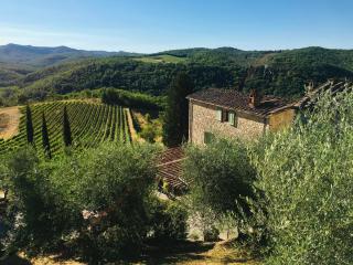 Celle di Lecchi Fienile - San Sano - 1