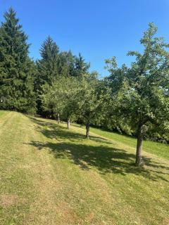 Schlaffass in der Natur - Aichtal - 9