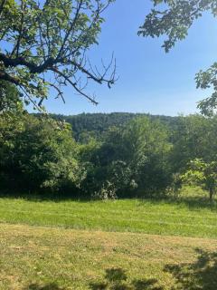 Schlaffass in der Natur - Aichtal - 2